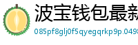 波宝钱包最新版下载